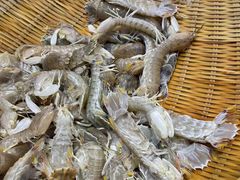 -川骄海鲜自助(河东店)
