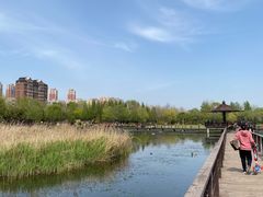 -前关湿地公园
