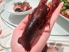 精品花雕冰镇龙虾-杨氏青龙虾·羊蝎子(金盛路总店)