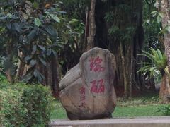 -瑞丽独树成林风景区