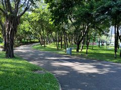 -深圳国际园林花卉博览园