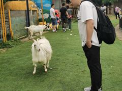 -常乐·对症推拿(来福士第43分店)