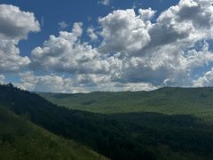 -莫尔道嘎国家森林公园