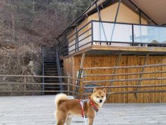 -北京山里寒舍度假酒店