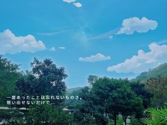 -重庆园博园