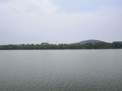-羊山湖公园