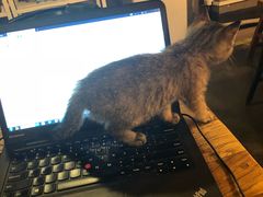 -时光转角咖啡馆(西康路店)