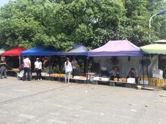 -塘栖枇杷特色园区