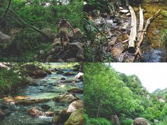 -碓臼峪自然风景区