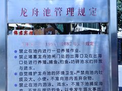 -龙舟池