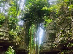 -梭布垭石林景区