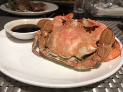 -339旋转餐厅(天府熊猫塔店)