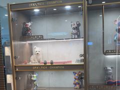 -翊宠yipet猫狗购宠庄园