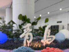 -青岛胶东国际机场