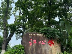 -江心屿景区