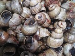 -香满锅老北京羊蝎子火锅·家常菜(新街口店)