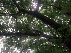 -许鲜生健康生活馆·精细潮菜(奥绅体育公园店)
