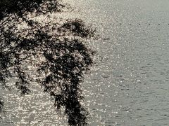 -南宁南湖公园