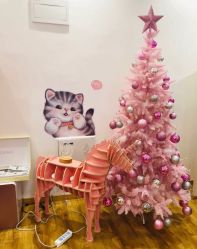 -Lab Season惜辰颜究社