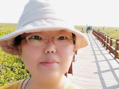 -北海金海湾红树林生态旅游区