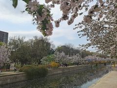 -元大都城垣遗址公园