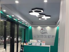 -博特宠物医院24h犬猫全科.骨科·异宠