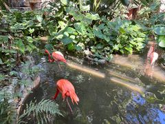 -长鹿旅游休博园