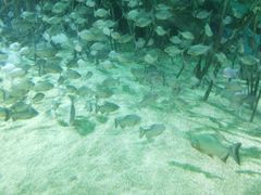 -福州罗源湾海洋世界旅游区