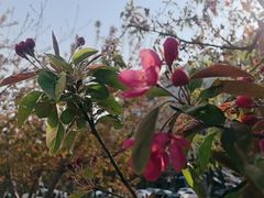 -吴裕泰茶庄(西单店)