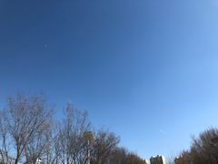 -成吉思汗公园