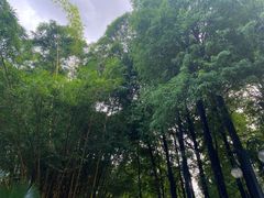 -晓港公园