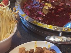 -一斗火锅·招财羊毛肚(北温泉九号店)