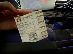 -太平洋影城(紫荆店)