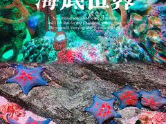 -沈阳海洋探索中心