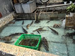 -鱼窝棚柴火铁锅炖(富山屯店)