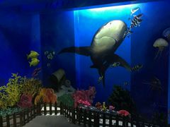 -船奇蒸汽海鲜·闽菜(八市海鲜总店)