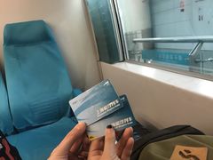 -龙阳路磁悬浮列车总站-停车场