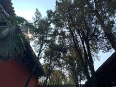 -洛阳白马寺