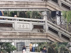 -荔湾湖公园