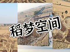 -稻梦空间