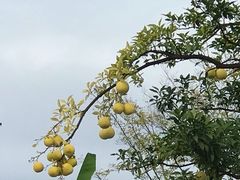 -日出青木·杭帮菜名店