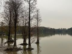 -海珠湖公园