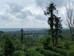 -樱桃山旅游景区