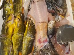 黄辣丁-融泽漁悦三只耳鱼火锅(南郑大道店)