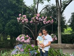 -无锡蠡湖国家湿地公园-蠡园
