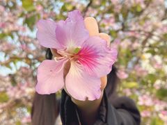 -天河体育中心