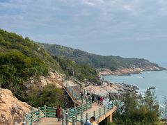 -广东惠东海龟国家级自然保护区