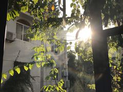 -默迹咖啡馆