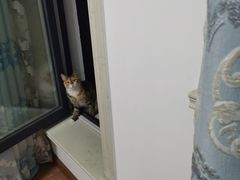 -宠颐生动物医院·心脏科·保险定点(锦阳分院)