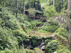 -青城山